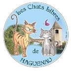 Les chats libres de Haguenau - association 1901 - 