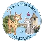 Les chats libres de Haguenau - association 1901 - 